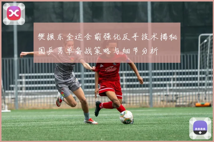樊振东全运会前强化反手技术揭秘国乒男单备战策略与细节分析