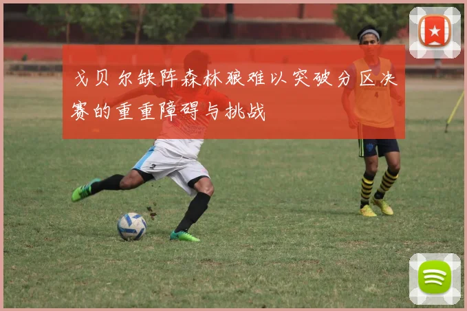 戈贝尔缺阵森林狼难以突破分区决赛的重重障碍与挑战