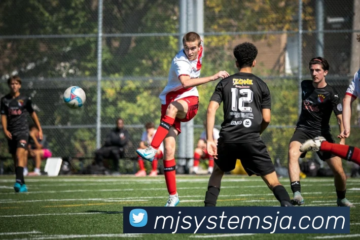 体育赛事直播